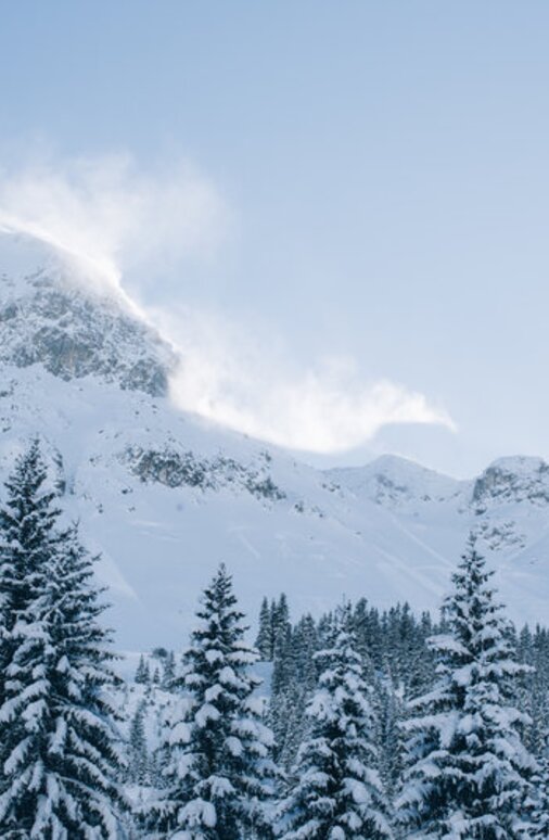 Schnee bedeckte Bäume vor den verschneiten Bergen der Skiregion Lech Zürs.