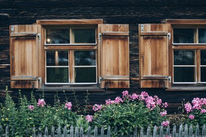 Zwei Holzfenster mit offenen Fensterläden und rosa Blumen davor.