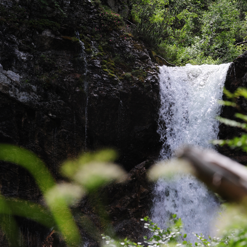 Ein kleiner Wasserfall inmitten von grüner Vegetation.
