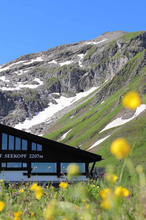 Bergrestaurant Seekopf vor malerischer Berglandschaft mit gelben Hahnenfuß im Vordergrund.