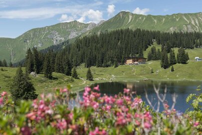Blick auf blühende Alpenlandschaft mit Berghotel Körbersee, See und Bergen im Hintergrund.