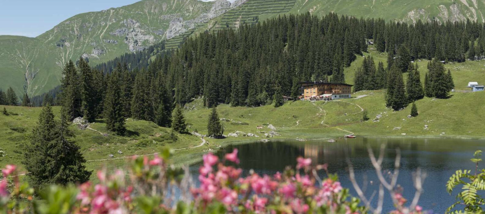 Blick auf blühende Alpenlandschaft mit Berghotel Körbersee, See und Bergen im Hintergrund.